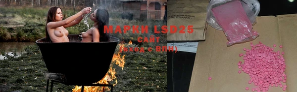 a pvp Пересвет