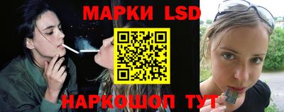 spice Славгород
