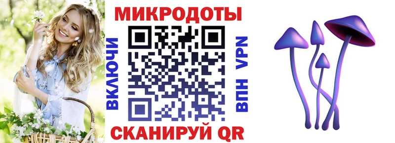 Галлюциногенные грибы Magic Shrooms  как найти закладки  ОМГ ОМГ как зайти  Сухой Лог 